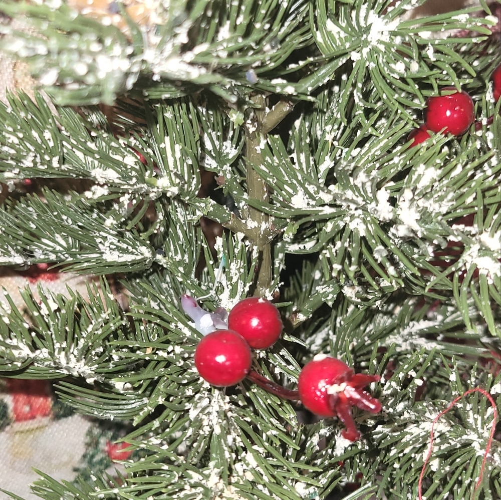 Christmas Tree - Picture 5 of 5